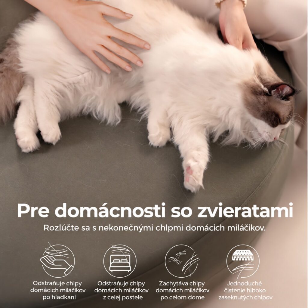Ilustrácia chlpov na čalúnení v domácnosti s mačkou.