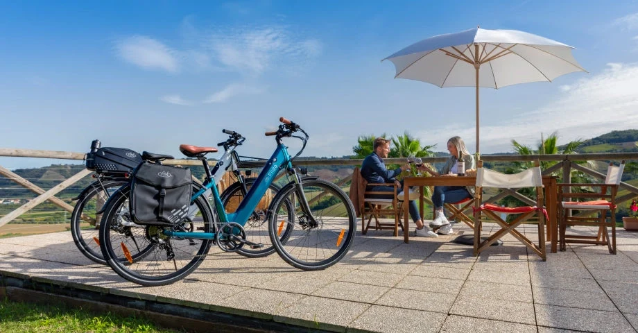 Mestské elektrobicykle Fiido C11 Pro s taškami na zadnom nosiči.