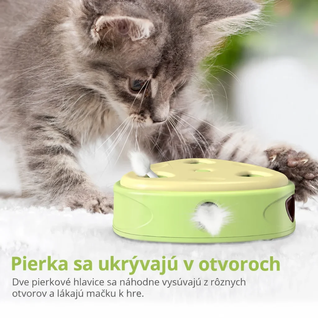 Mačka sleduje pierko vysúvajúce sa z hračky Fluffee